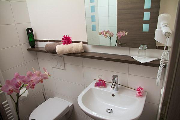 Lohauserhof - Biohof Und Hotel Rohrmoos 部屋 写真