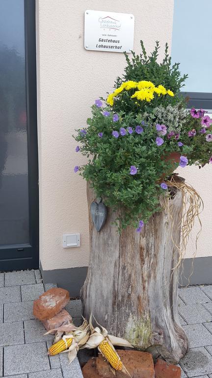 Lohauserhof - Biohof Und Hotel Rohrmoos エクステリア 写真